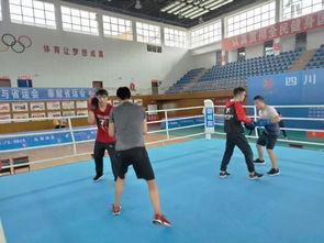 勇敢者的運(yùn)動 四川省第十三屆運(yùn)動會拳擊比賽在昭化熱血開賽